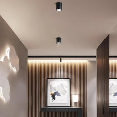 Compact Adjustable LED Ceiling Lamp with Single Light Source