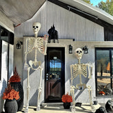 165 cm Skeleton – Large Halloween Decoration for the Garden