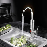 Smart Kitchen Faucet with Heater