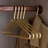 Elegant and functional 5-hook wardrobe organizer