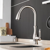 Functional kitchen faucet with pull-out spout and single-handle operation